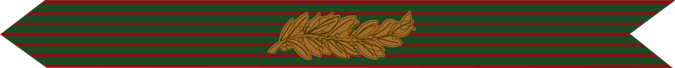United States Marine Corps French Croix De Guerre Campaign Streamer with one palms and one gilt star 